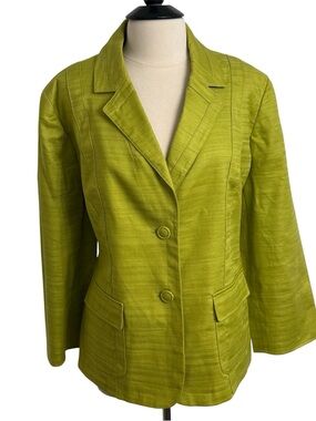 AK Anne Klein Womens Linen Blend Tailored Silhouette Blazer Apple Green Size 22W